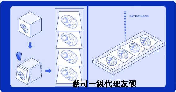 丽江蔡司丽江扫描电镜